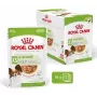Royal Canin X-Small Adult comida húmida para cães, 12 x 85 g
