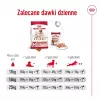 Royal Canin SHN Medium Adult comida seca para cães, 4 kg