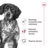 Royal Canin SHN Medium Adult comida seca para cães, 4 kg