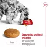 Royal Canin SHN Medium Adult comida seca para cães, 4 kg