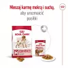 Royal Canin SHN Medium Adult comida seca para cães, 4 kg