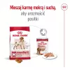 Royal Canin SHN Medium Adult comida seca para cães, 4 kg