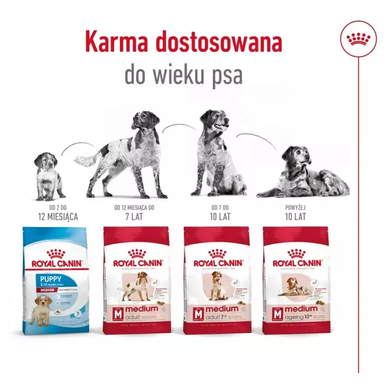 Royal Canin SHN Medium Adult comida seca para cães, 4 kg