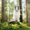 VETEXPERT RAW PALEO Puppy monoproteína pato, comida húmida para cachorros, 400 g