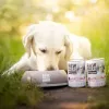 VETEXPERT RAW PALEO Adult monoproteína porco, comida húmida para cães, 400 g
