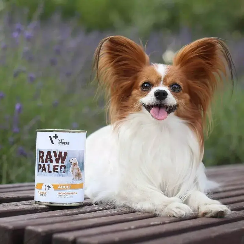 Comida húmida para cães VETEXPERT RAW PALEO Adult Monoprotein peru 800 g lata, sem cereais, sem glúten, para alergias alimentares