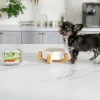 Comida húmida para cachorros VETEXPERT RAW PALEO Pâté Mini Beef — lata de 150 g monoproteica de vaca para cachorros de raças pequenas