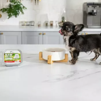 Comida húmida para cachorros VETEXPERT RAW PALEO Pâté Mini Beef — lata de 150 g monoproteica de vaca para cachorros de raças pequenas