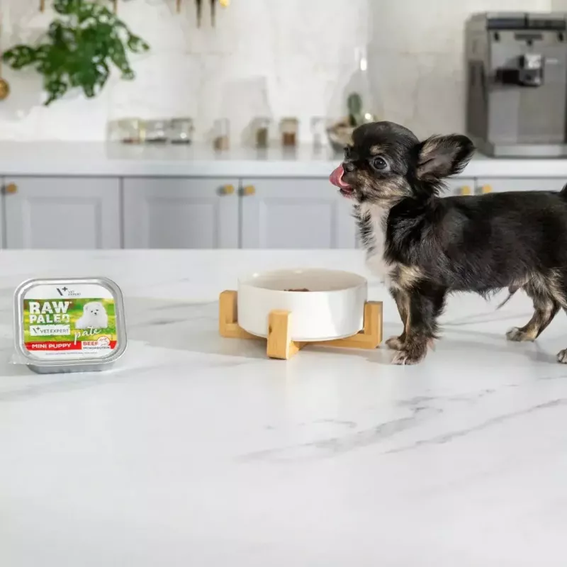 Comida húmida para cachorros VETEXPERT RAW PALEO Pâté Mini Beef — lata de 150 g monoproteica de vaca para cachorros de raças pequenas