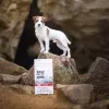 VETEXPERT RAW PALEO Ultra Mini Adult bovino, ração seca para cães, 2 kg