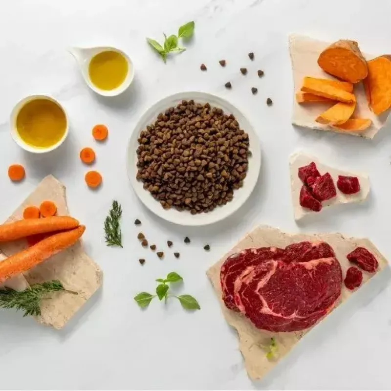Comida seca para cachorros VETEXPERT RAW PALEO Ultra Medium & Large Beef 2 kg – vaca, proteína 30,5 %, gordura 16,5 %