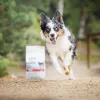 Comida seca para cachorros VETEXPERT RAW PALEO Ultra Medium & Large Beef 2 kg – vaca, proteína 30,5 %, gordura 16,5 %