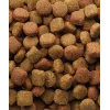 Alimento seco VERSELE-LAGA Senior Duo Krok 20 kg — aves, 22 % proteína, 8 % gordura, cães adultos