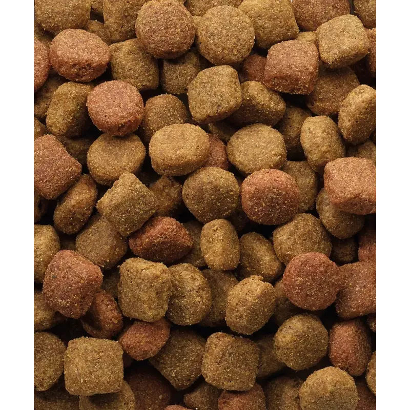 Alimento seco VERSELE-LAGA Senior Duo Krok 20 kg — aves, 22 % proteína, 8 % gordura, cães adultos