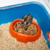 Gaiola FERPLAST Combi 2 para hamsters, Azul transparente, L795×P295×A263 mm, tecnopolímero