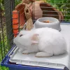 Ferplast Rabbit 120 gaiola para coelhos