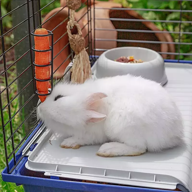 Ferplast Rabbit 120 gaiola para coelhos