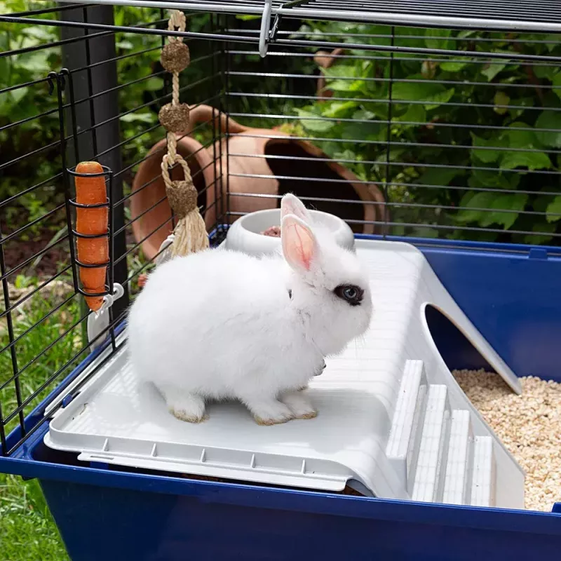 Ferplast Rabbit 120 gaiola para coelhos