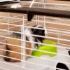 Ferplast Casita 80 gaiola para porquinhos-da-índia e coelhos