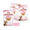 Royal Canin Feline Health Nutrition Kitten Sterilised ração húmida, 12 x 85 g