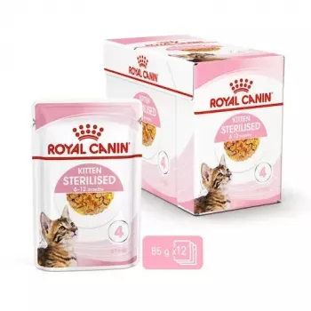 Comida húmida para gatos Royal Canin Feline Health Nutrition Sterilized Chicken 12 x 85 g (adultos, 1–1,9 kg)