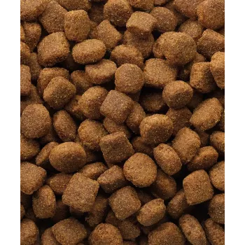Alimento seco para cães VERSELE-LAGA borrego e arroz 20 kg — cães adultos, todos os tamanhos de raça, 22% proteína, 10% gordura