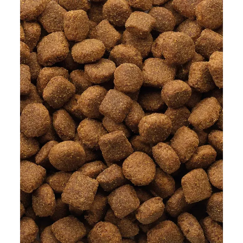 Alimento seco para cães VERSELE-LAGA borrego e arroz 20 kg — cães adultos, todos os tamanhos de raça, 22% proteína, 10% gordura