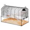 Gaiola ZOLUX NeoPanas XL de vidro para roedores, preta, medidas 710×410×490 mm, cuba de vidro altura 180 mm, incl. 2 prateleiras, 2 plataformas, comedouro, casa, roda de exercício