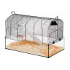 Gaiola ZOLUX NeoPanas XL de vidro para roedores, preta, medidas 710×410×490 mm, cuba de vidro altura 180 mm, incl. 2 prateleiras, 2 plataformas, comedouro, casa, roda de exercício