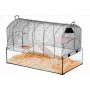 Gaiola ZOLUX NeoPanas XL de vidro para roedores, preta, medidas 710×410×490 mm, cuba de vidro altura 180 mm, incl. 2 prateleiras, 2 plataformas, comedouro, casa, roda de exercício