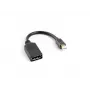 Cabo DisplayPort LANBERG Mini DisplayPort - 0,12 m preto