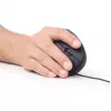 Rato ótico GEMBIRD MUS-ERGO-01 - ergonómico, 6 botões, roda, USB, preto