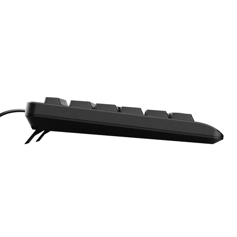 Trust Primo Teclado Universal USB QWERTY US-Inglês Preto