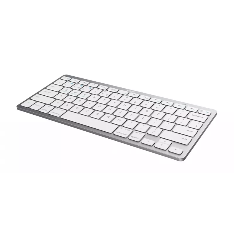 Trust 24651 Teclado sem fios QWERTY US English, Prateado