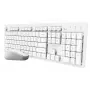 Trust Ody II Teclado Rato incluído Home/Office RF Wireless QWERTY US-Inglês Branco