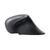 Trust Verro Rato Escritório Destro RF Wireless Ótico 1600 DPI