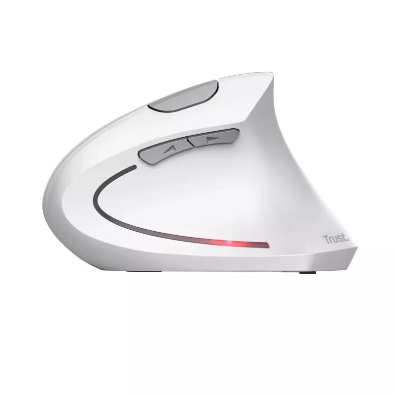 Trust Verto Rato Escritório Destro RF Sem fios Ótico 1600 DPI