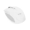 Trust Ozaa Rato Escritório Destro RF Wireless + Bluetooth Ótico 3200 DPI