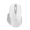Rato Trust Ozaa+ Escritório Mão direita RF Wireless + Bluetooth 24935