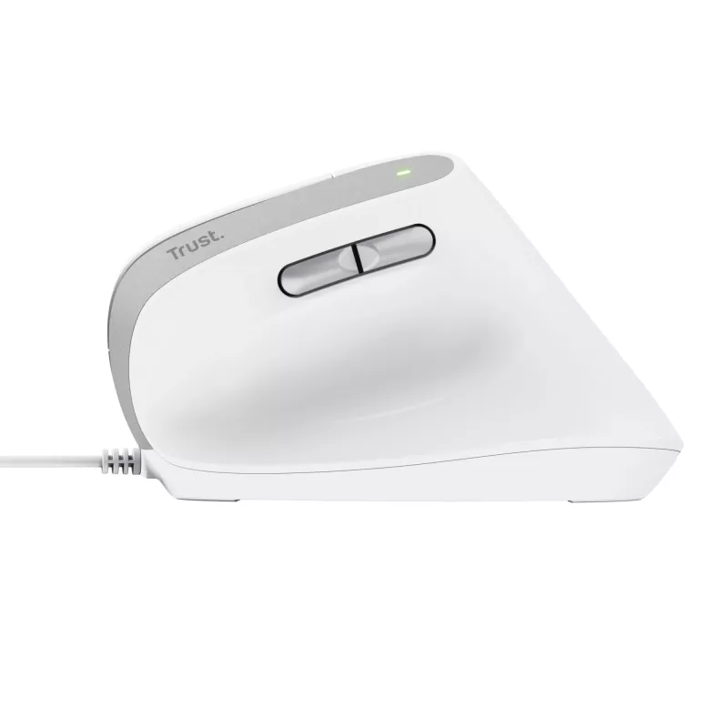 Rato Trust Bayo II Escritório Mão direita USB Type-A Ótico 2400 DPI