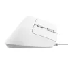 Rato Trust Bayo II Escritório Mão direita USB Type-A Ótico 2400 DPI