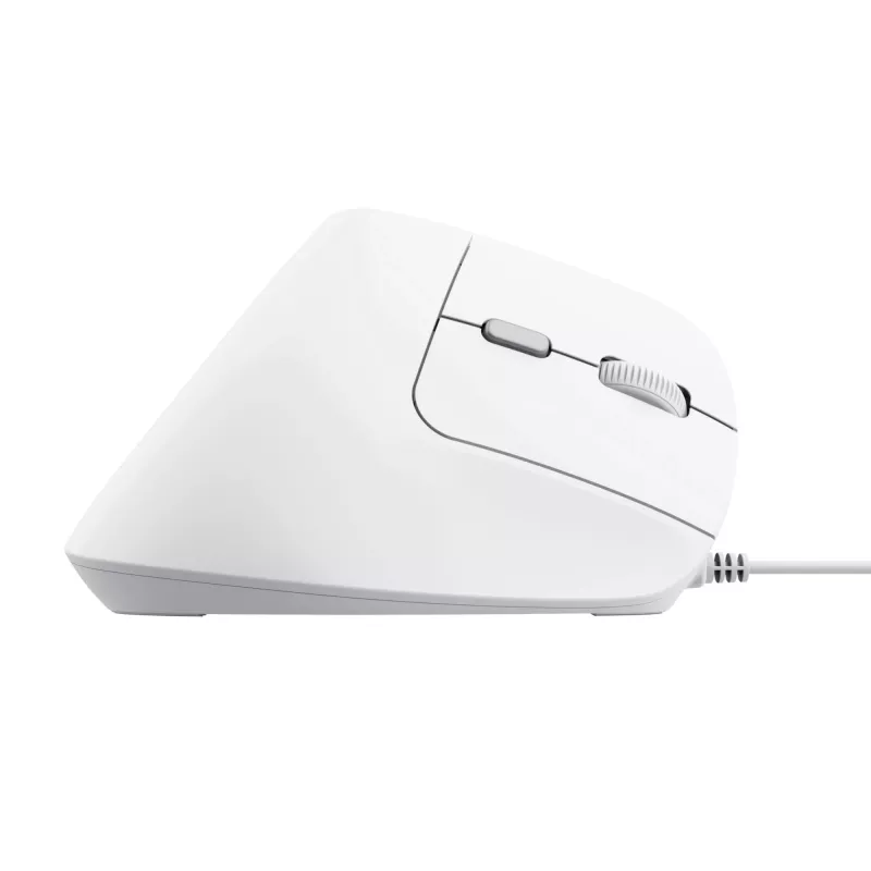 Rato Trust Bayo II Escritório Mão direita USB Type-A Ótico 2400 DPI