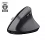 Rato Trust Bayo+ Escritório Mão direita RF Wireless + Bluetooth Ótico 2400 DPI