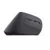 Rato Trust Bayo+ Escritório Mão direita RF Wireless + Bluetooth Ótico 2400 DPI