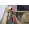 Chave de fendas de teste de tensão Wiha 45217 vermelho amarelo