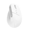 Rato Trust Bayo+ escritório destro RF Wireless + Bluetooth ótico 2400 DPI