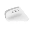 Rato Trust Bayo+ escritório destro RF Wireless + Bluetooth ótico 2400 DPI