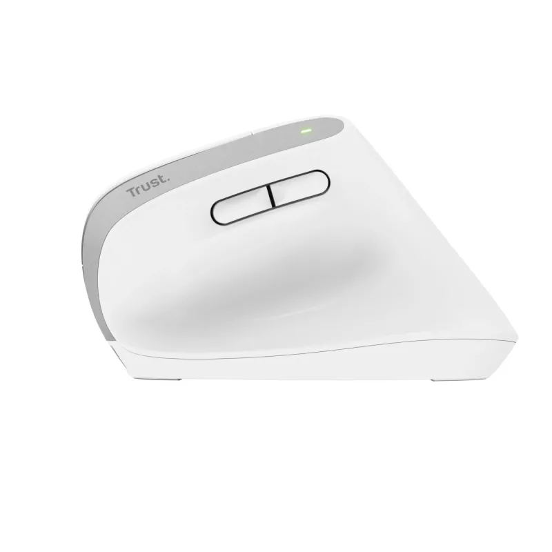 Rato Trust Bayo+ escritório destro RF Wireless + Bluetooth ótico 2400 DPI