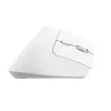 Rato Trust Bayo+ escritório destro RF Wireless + Bluetooth ótico 2400 DPI