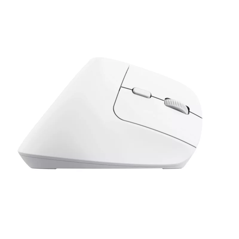 Rato Trust Bayo+ escritório destro RF Wireless + Bluetooth ótico 2400 DPI